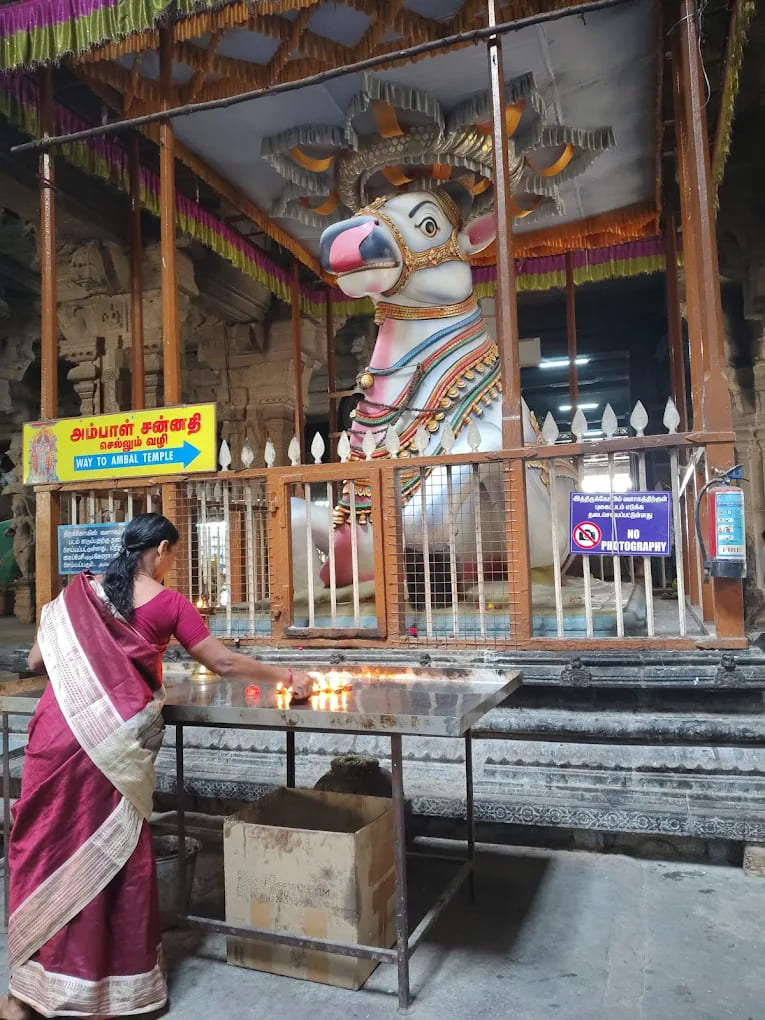Sacred Nandi statue at Nellaiappar Temple, Tirunelveli