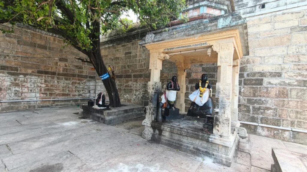 Sacred Kurundai tree shrine with Shiva Guru and Saint Manikkavasagar at Thiruperundurai temple Sacred Kurundai tree shrine with Shiva Guru and Saint Manikkavasagar at Thiruperundurai temple